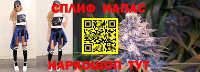 кокс Кингисепп