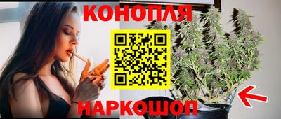 кокс Кингисепп