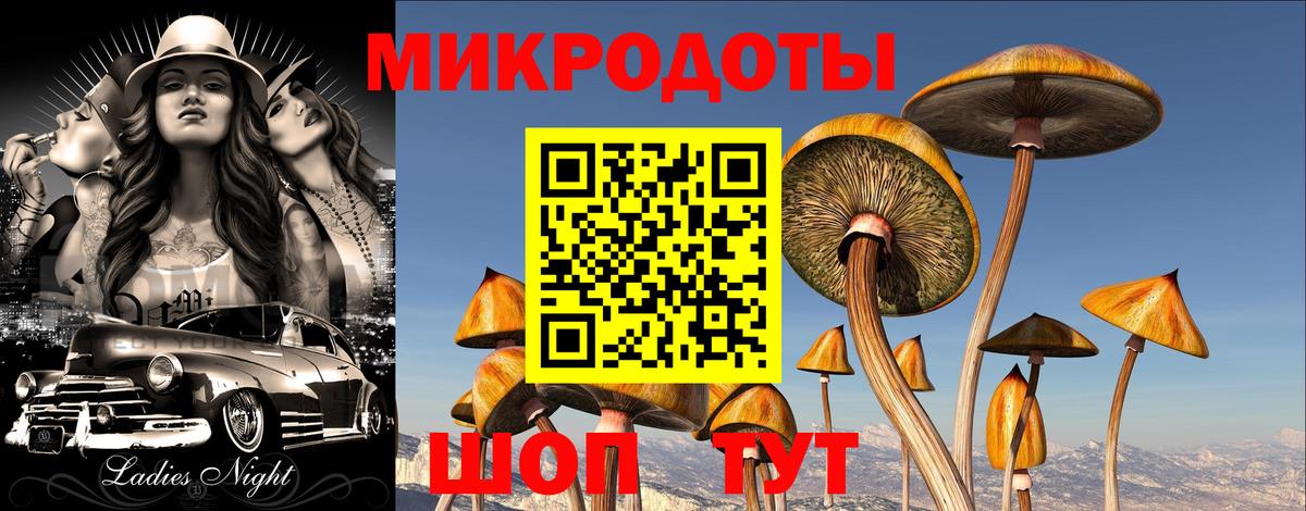Псилоцибиновые грибы Cubensis Красноармейск