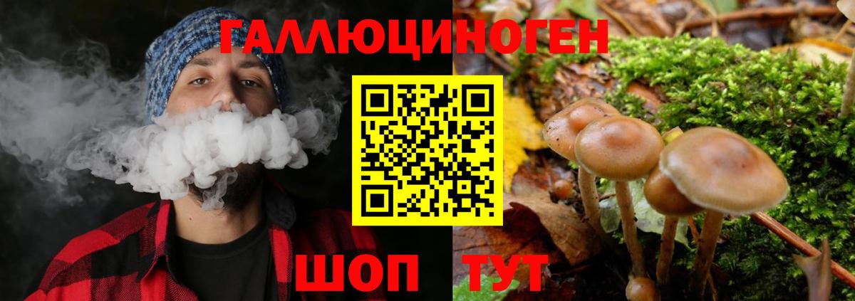 Псилоцибиновые грибы Magic Shrooms  Псилоцибиновые грибы прущие грибы  Вход с VPN  Красноармейск 